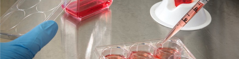 Research & Education